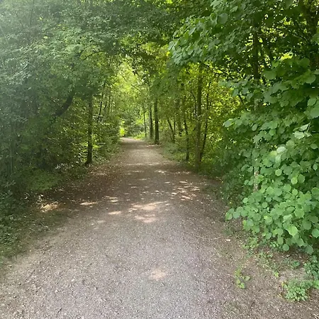 Mojos Bodenseetraum Apartment *