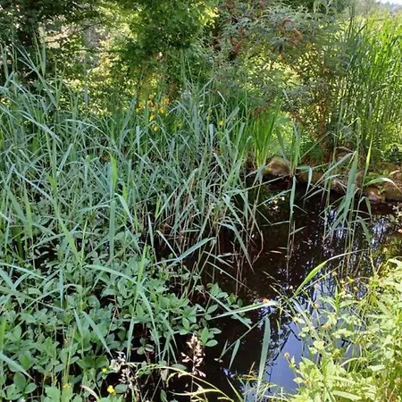 Apartment Mojos Bodenseetraum Uhldingen-Muehlhofen