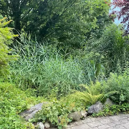 Mojos Bodenseetraum Apartament Uhldingen-Mühlhofen